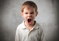 /album/fotogaleria-inicio/fotolia-21995387-xs-jpg/